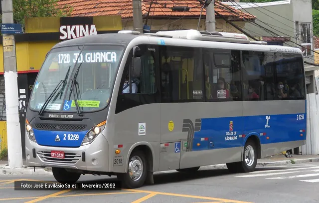 Poda de árvore na Zona Sul altera itinerário das linhas 8072/10 e 8078/10