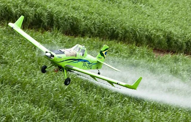 STF mantém lei do Ceará que proibiu pulverização aérea de agrotóxicos