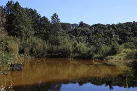 Brasil ganha 1,7 milhão de hectares de superfície de água em 2022