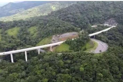 Programa de concessões investe na preservação da vida animal ao longo das rodovias