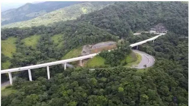 Programa de concessões investe na preservação da vida animal ao longo das rodovias