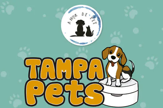 Para ajudar animais em situação de risco, SBCTrans lança campanha Tampa Pet