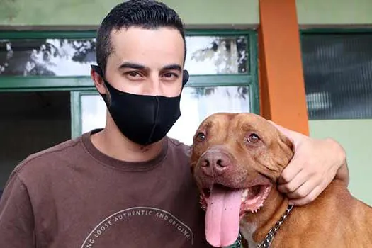 Após dois anos de espera, pitbull ganha nova família em Santo André