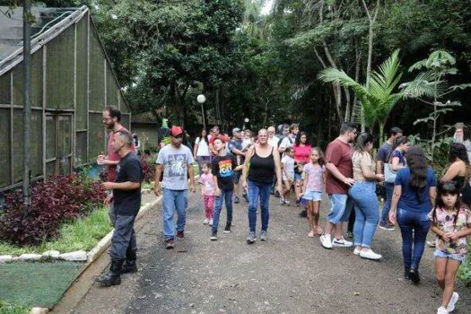 Tem Abelha no Meu Jardim será neste domingo no Borboletário de Diadema