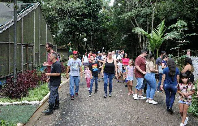 Tem Abelha no Meu Jardim será neste domingo no Borboletário de Diadema