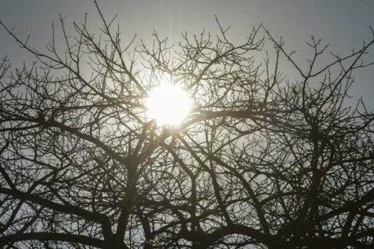 Clima seco requer cuidados com a saúde respiratória