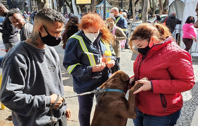 Animais de pessoas em situação de rua terão atendimento veterinário na Operação Baixas Temperaturas