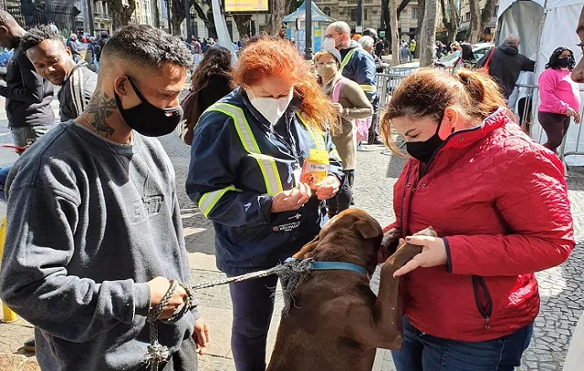 Animais de pessoas em situação de rua terão atendimento veterinário