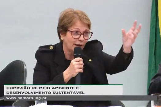 Brasileiro não passa muita fome porque tem muita manga’, diz ministra