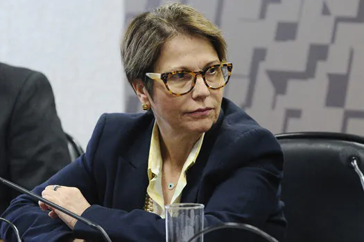 ‘Desmame’ de subsídios não pode ser radical, diz ministra da Agricultura