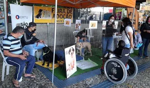 Terminal Jabaquara da EMTU terá feira de adoção de cães