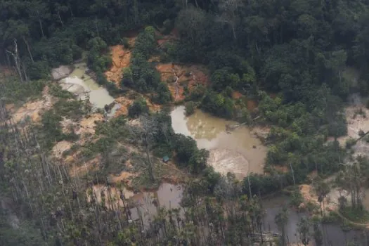 Yanomami pedem água potável e dizem que garimpo ilegal contamina rios