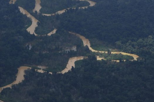 Governo do Pará assina decreto para combater garimpo e desmatamento