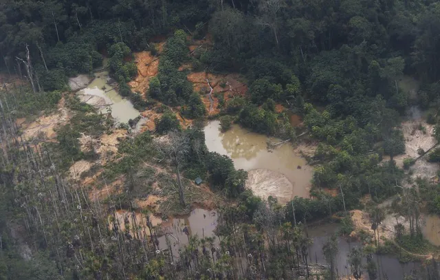 Voos clandestinos em terra yanomami caem 90% após operação especial