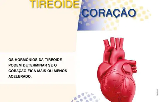 Disfunção da tireoide é tema de exposição na Estação Adolfo Pinheiro