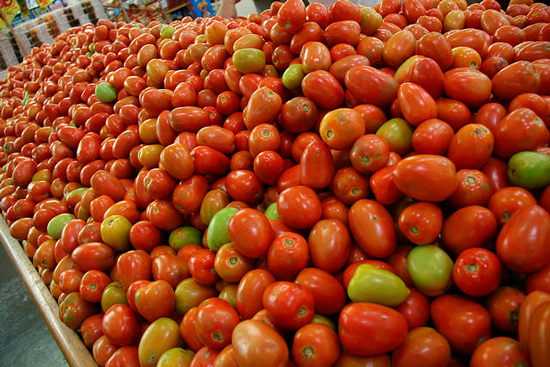 Tomate-Cesta Basica