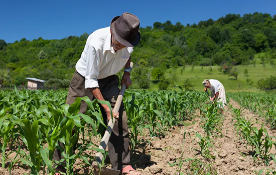 60 anos para aposentadoria de homens e mulheres do campo ‘é ótimo’