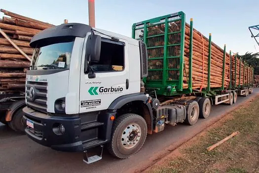 Falando de Transportes e Transportadoras – Transportar é preciso