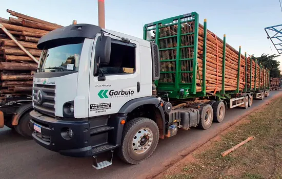 Falando de Transportes e Transportadoras – Transportar é preciso