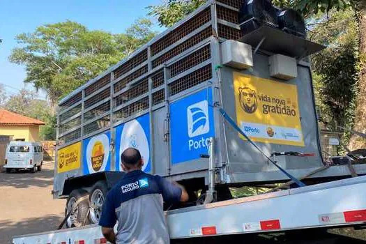 Porto transporta urso de Piracicaba até santuário no interior de São Paulo