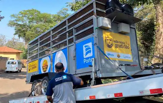 Porto transporta urso de Piracicaba até santuário no interior de São Paulo