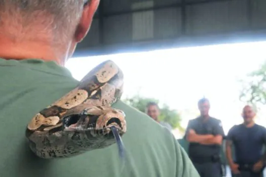 GCMs de Santo André passam por treinamento sobre cuidados com animais peçonhentos