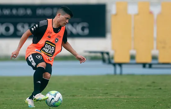 Botafogo e São Paulo se enfrentam no Estádio Nilton Santos