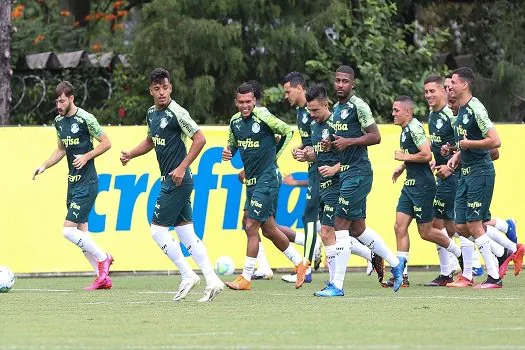 Sport e Palmeiras se enfrentam neste sábado pela 29ª rodada do brasileirão