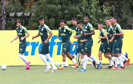 Sport e Palmeiras se enfrentam neste sábado pela 29ª rodada do brasileirão