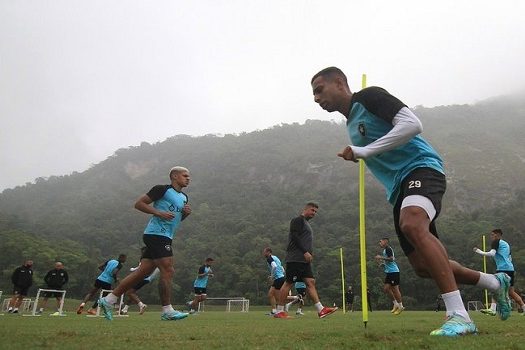 De olho em vaga na Libertadores, Botafogo recebe o Santos