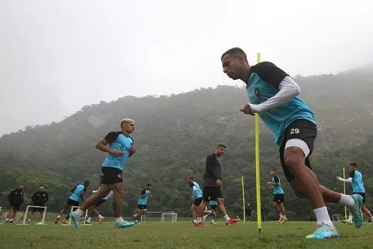 De olho em vaga na Libertadores, Botafogo recebe o Santos