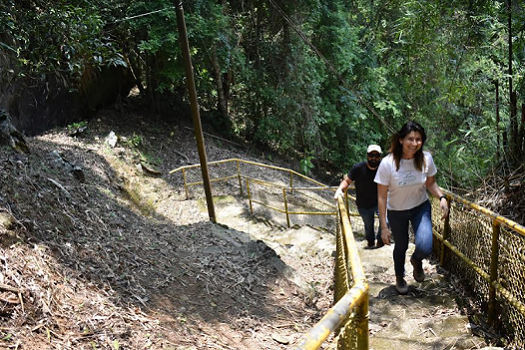 Museu da Energia de Salesópolis promove passeio na Mata Atlântica