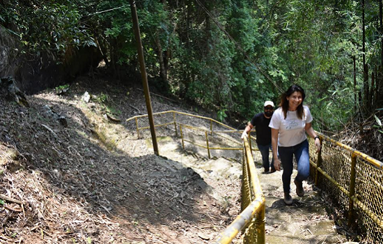 Museu da Energia de Salesópolis promove passeio na Mata Atlântica