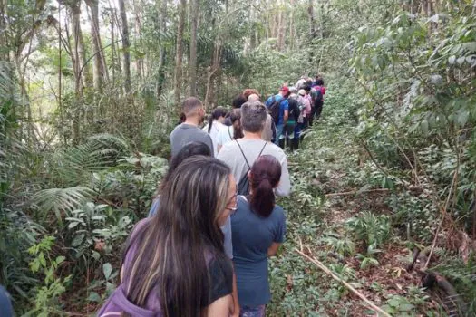 Trilhas no Parque do Pedroso sensibilizam população para as questões ambientais