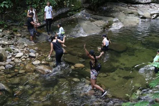 Pesquisas contribuem para aumento de trilhas na Mata Atlântica