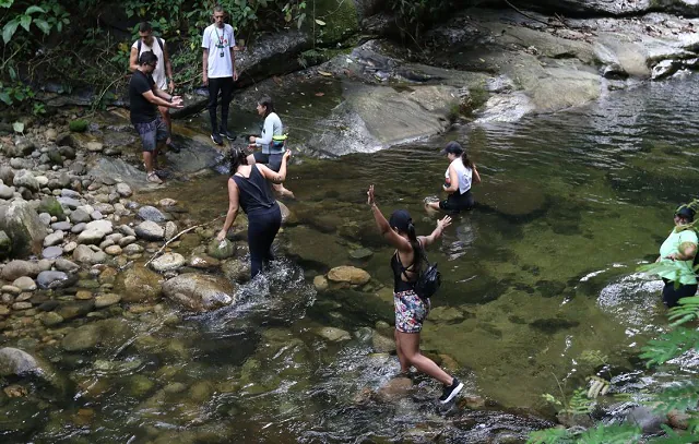 Pesquisas contribuem para aumento de trilhas na Mata Atlântica