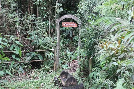 SP: Cuidado com animais peçonhentos nos Parques Naturais Municipais