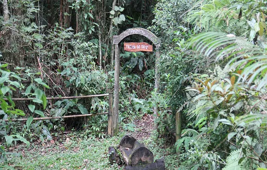 SP: Cuidado com animais peçonhentos nos Parques Naturais Municipais