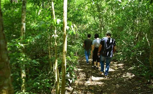 Museus da Energia oferecem atividades gratuitas nos próximos feriados