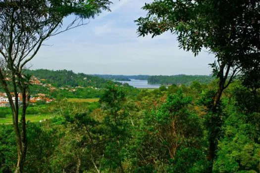 Turismo em Ribeirão Pires: natureza e cidade se encontram em refúgio a 40 km da capital