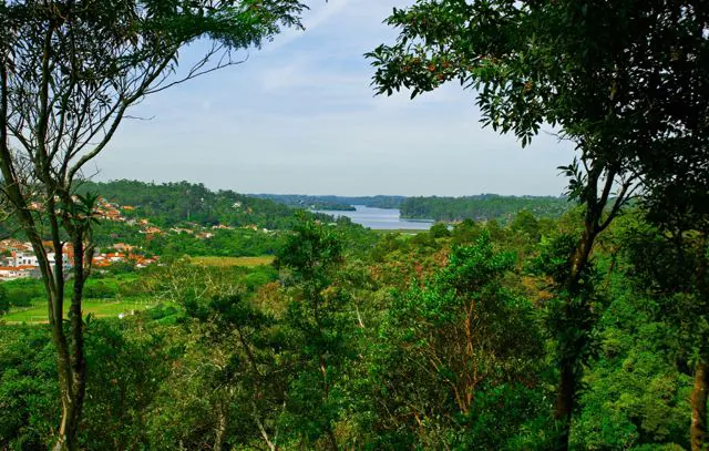 Turismo em Ribeirão Pires: natureza e cidade se encontram em refúgio a 40 km da capital