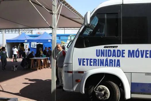 Diadema inicia Campanha de Castração Animal