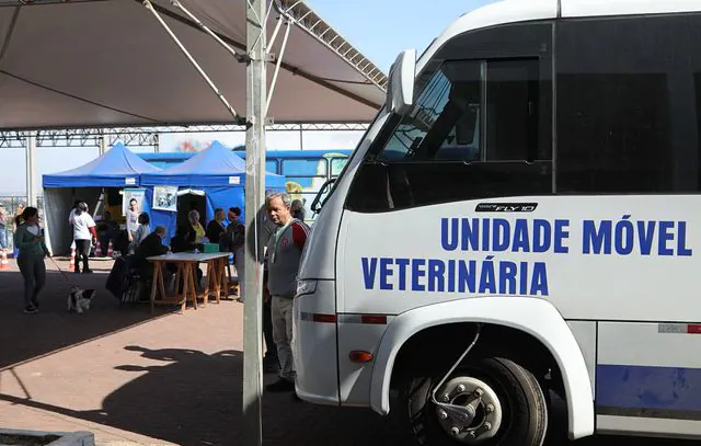 Diadema inicia Campanha de Castração Animal