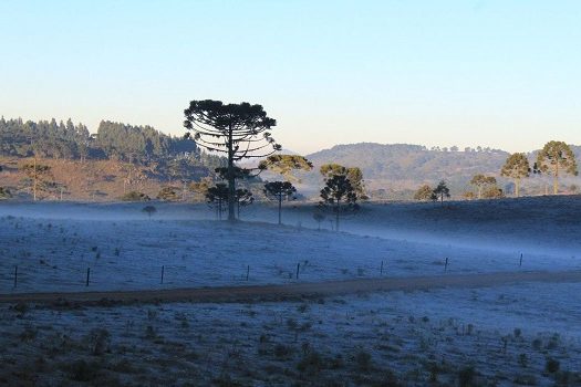 Apesar do verão, SC tem campos com geada e temperaturas baixas