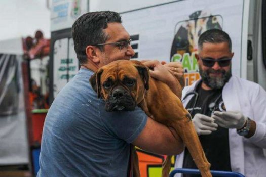 Vacinação em Ribeirão Pires resulta em mais de 1.600 pets protegidos contra a raiva