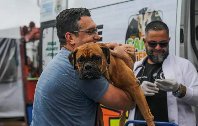 Vacinação em Ribeirão Pires resulta em mais de 1.600 pets protegidos contra a raiva