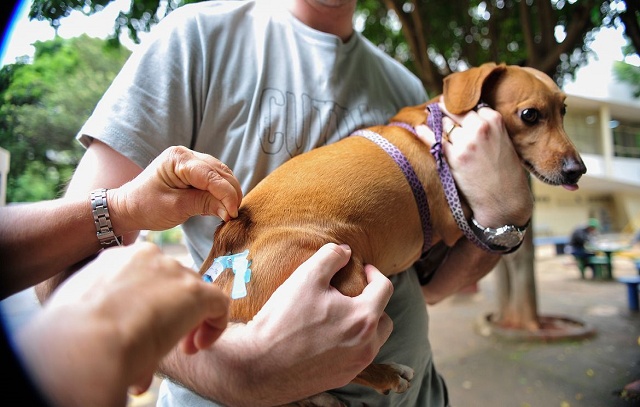 Primeira edição do Cuida Pet SP recebe mais de 1 mil visitantes