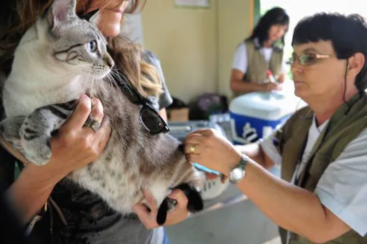 Vacinação contra a raiva para cães e gatos no posto volante do Ipiranga será encerrada