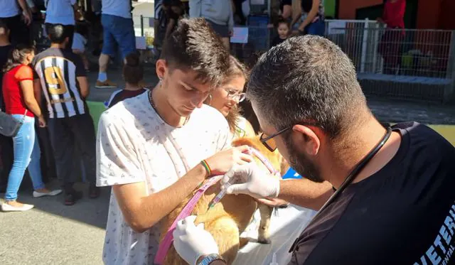 Mais de 750 animais receberam vacina antirrábica em Ribeirão Pires neste ano