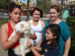 Mauá já vacinou mais de cinco mil cães e gatos contra a raiva